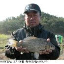 영남대물피싱
