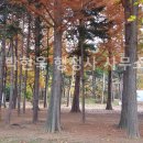 박현욱 행정사 사무소 이미지