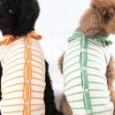 메디큐어 이미지