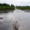 빙수네민박 이미지