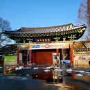 겨울 전주 여행 눈 쌓인 전주동물원 방문 후기 드림랜드 꿀팁 정보