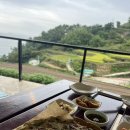 5월 감꽃 10월 홍시 | [25’ 경남] 지리산 여행중 들른 남해 하루 여행기