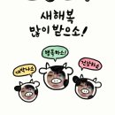 알라딘투어
