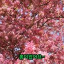 제이영컨설팅