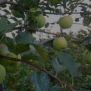 한길농장 이미지