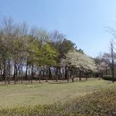 침묵속에피어나는우리 이미지