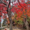 반송공원 이미지