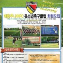 ☆2015년 대동주니어FC 유소년 축구클럽 회원 추가모집!!☆ 이미지