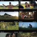 제이콥농장 이미지