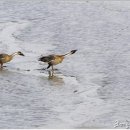 (주)심플십 이미지