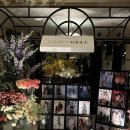 다모르 | 서울 중구 레스케이프 호텔 바 마크 다모르 혼자 방문후기 5성급호텔바 칵테일 추천