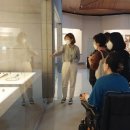 국립수목원 산림박물관 이미지