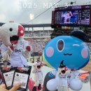 무안스포츠파크 주경기장 | 수원 kt wiz 파크 1루 응원지정석 106구역 7열 74번, 75번 시야 직관후기