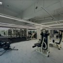 미니원핏 이미지