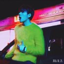 리배