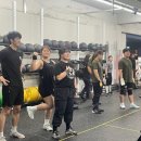 트레이닝 샤카 이미지