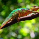 한국폴리텍 V 대학 전북캠퍼스 이미지