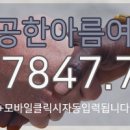 한아름여행사