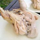 촌닭백숙옻닭 이미지