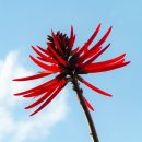 라이브클래식 Ⅲ | 2025 서울시향 퇴근길 토크 콘서트 III: 라틴 아메리카, 리듬 속 열정 ② 후기