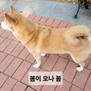 방막농장 이미지