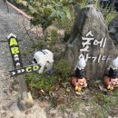 안기농장 이미지