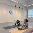 박물관 속 무용 | 아이부터 성인까지 즐겁게 배우는 광주무용학원, 리브무용학원 후기