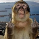 머리끄댕이 이미지