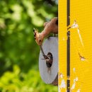 수원-0609 이미지