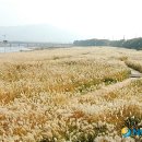서천둔치 주차장 이미지