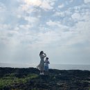 풍차다방 이미지