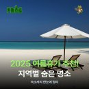 순천만바람의언덕하우스 | 2025 여름휴가 추천! 지역별 숨은 명소와 숙소까지 한눈에 정리