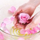 지구레코드 이미지