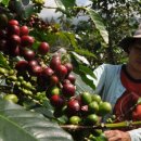 커피로23 이미지