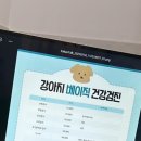 바른걸음 외과 동물병원 이미지