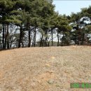 이시백 묘 이미지