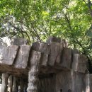 성류굴주차장(북부2) 이미지