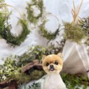 털뭉치이발소 이미지