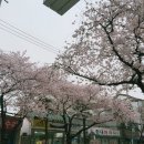 세진세탁소 이미지