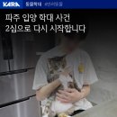 파주 입양 연쇄학대살해사건(내용,사진 잔인 주의) 1심집행유예-＞ 2심 청원 받는중!!! 이미지