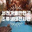 조류생태전시관 | 아이들과 가볼만한 곳 서천 조류 생태 전시관 내돈내산 솔직 후기