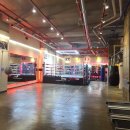 마루복싱 이미지