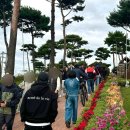 유림자원 | 대전 유림공원 국화축제 먹거리, 놀거리, 주차 자세한 후기