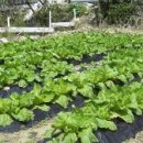 웰빙무도장 이미지