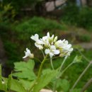 삼기당한의원 이미지