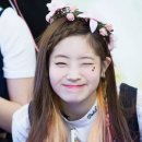 윙크 Daum카페
