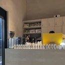 센텀T타워 | 해운대 센텀 미용실 셉헤어 &amp; 스파 :: 지노보 셀프 브러싱 런칭 행사 후기