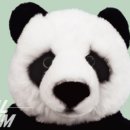 팬더짐 이미지