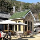 득우유통 | 부산 초량1941 마당있는 고즈넉한 적산가옥 초당커피, 파르페 내돈내산