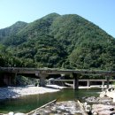 도화림 Daum카페